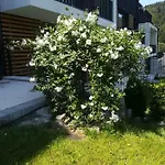 Appartement Apartament Zielony