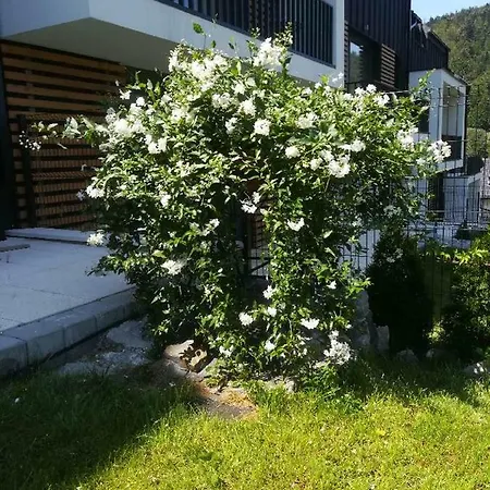 Appartement Apartament Zielony