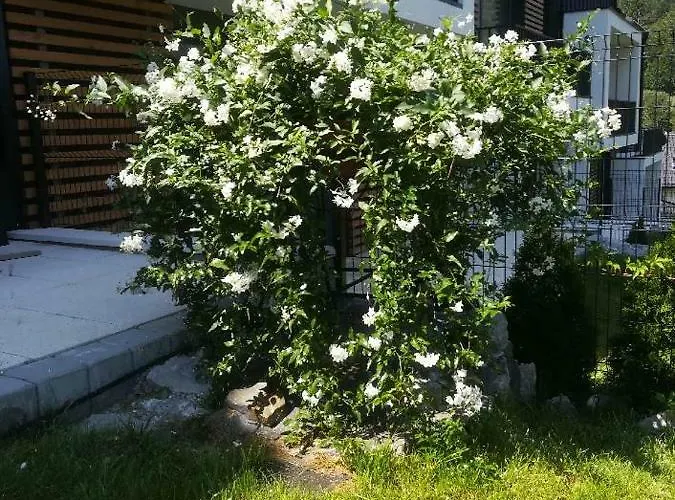 Appartamento Apartament Zielony